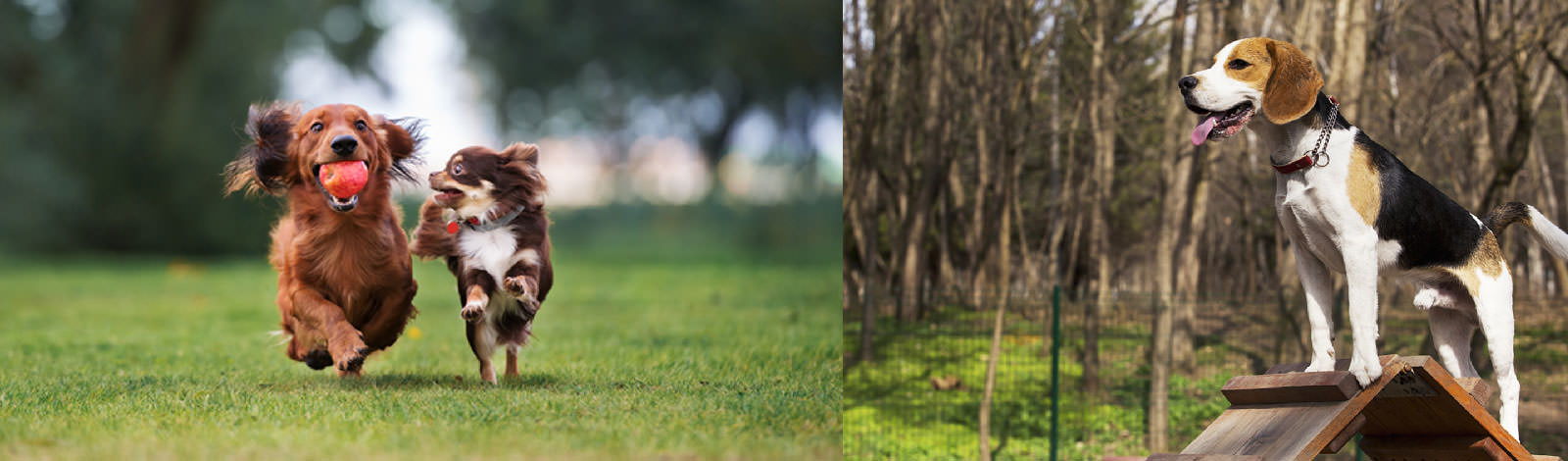 Nachbars Lumpi - Spielplatzgruppe